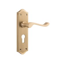 Satin Brass